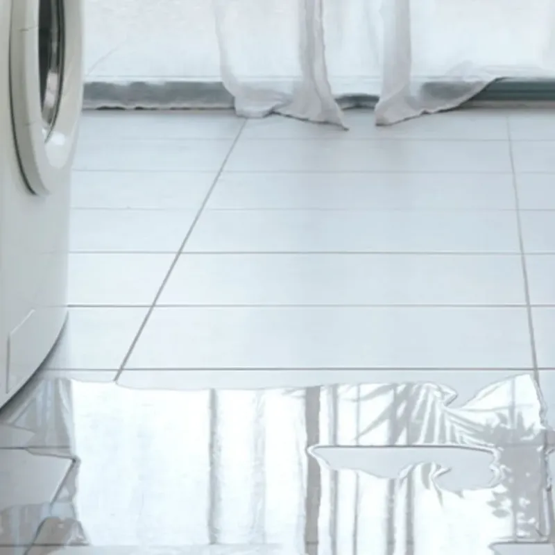 Appliance Leak Cleanup in Madison, WI