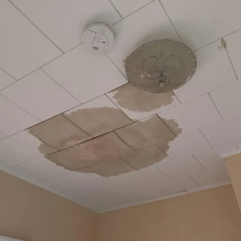Ceiling Water Damage Repair in Madison, WI