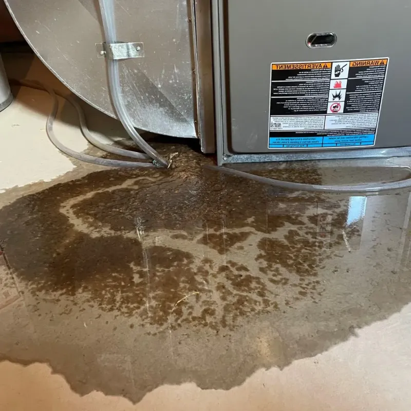 Pipe Burst and Leak Restoration in Madison, WI