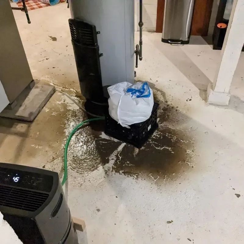 Sewage Backup Cleanup Service in Madison, WI